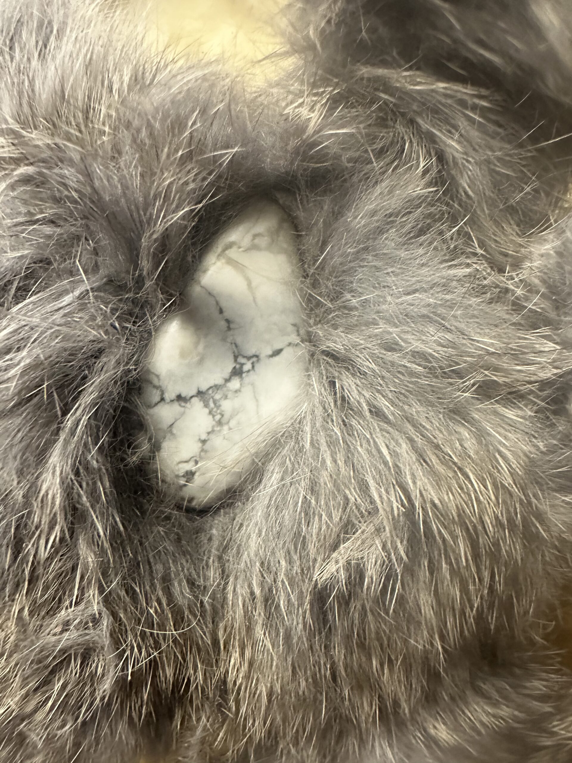 15" Shadow Fur Cow Sacred Drum - Image 4