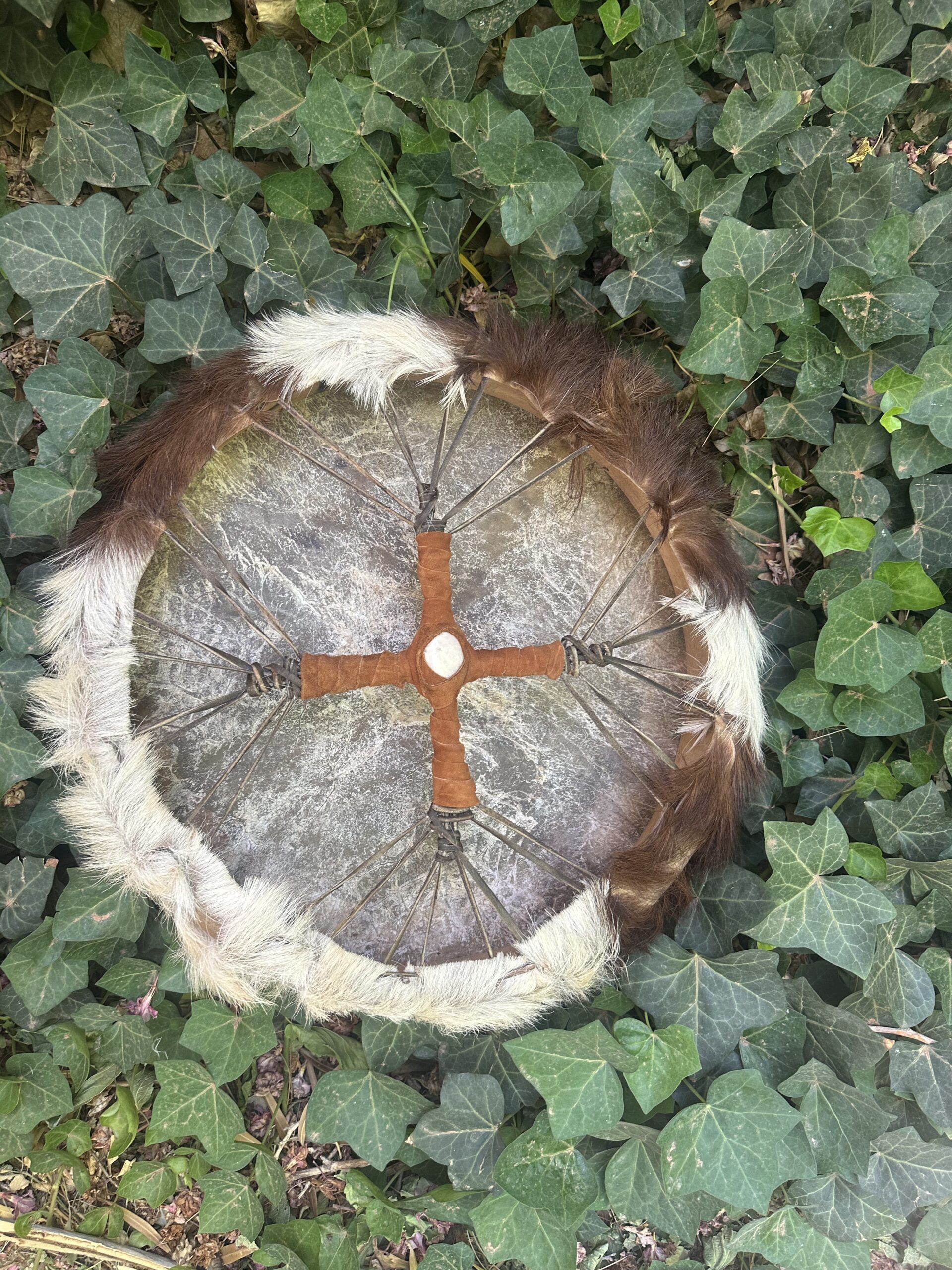 18" Long Horn Steer (Cow) Sacred Drum with Fur - Image 2