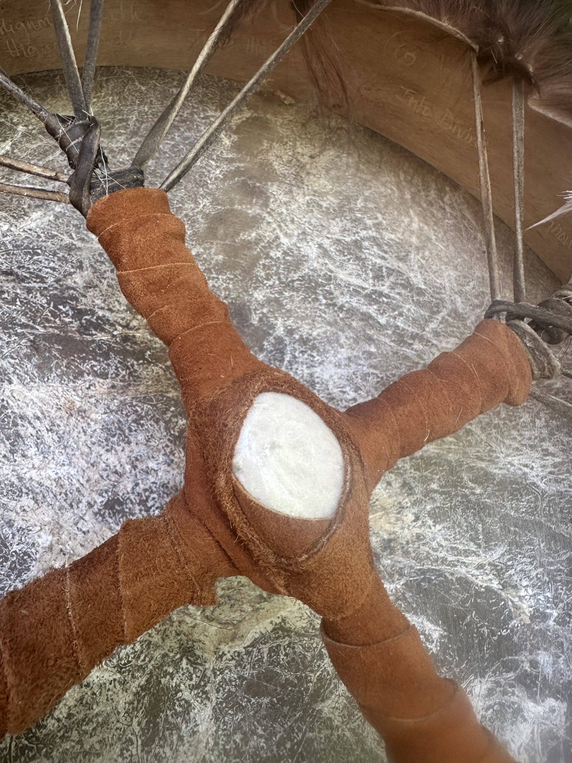 18" Long Horn Steer (Cow) Sacred Drum with Fur - Image 3