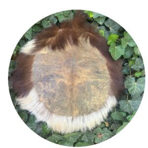 18" Long Horn Steer (Cow) Sacred Drum with Fur